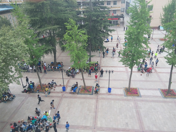 2015郑州市中招体育考试